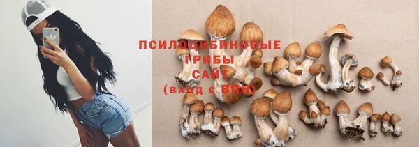 МДПВ Вяземский
