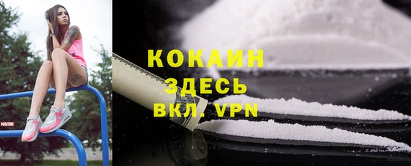 шишки Горно-Алтайск