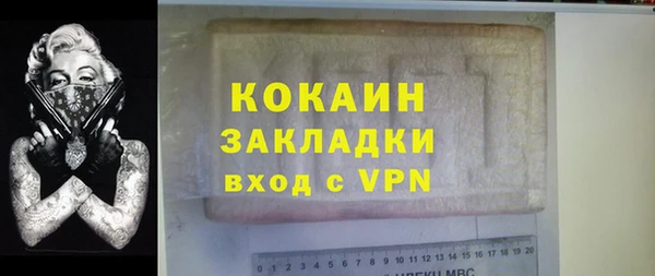 шишки Горно-Алтайск