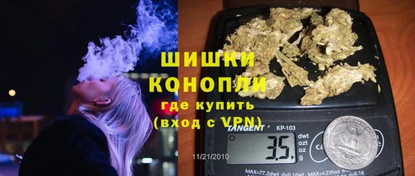 МДПВ Вяземский