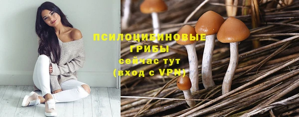 apvp Вязники