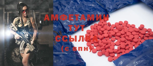 МДПВ Вяземский