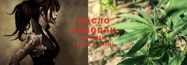 МДПВ Вяземский