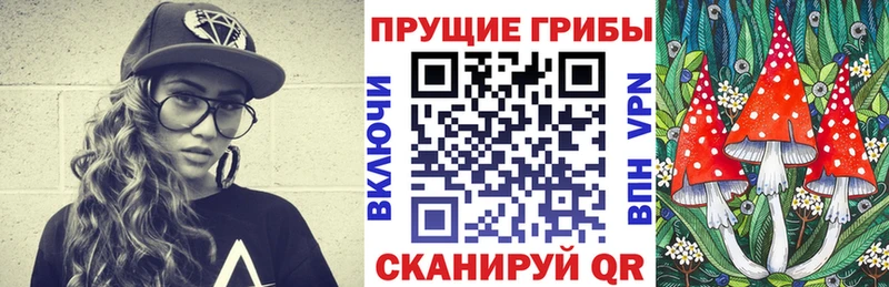 закладка  Жуковка  Псилоцибиновые грибы Magic Shrooms 